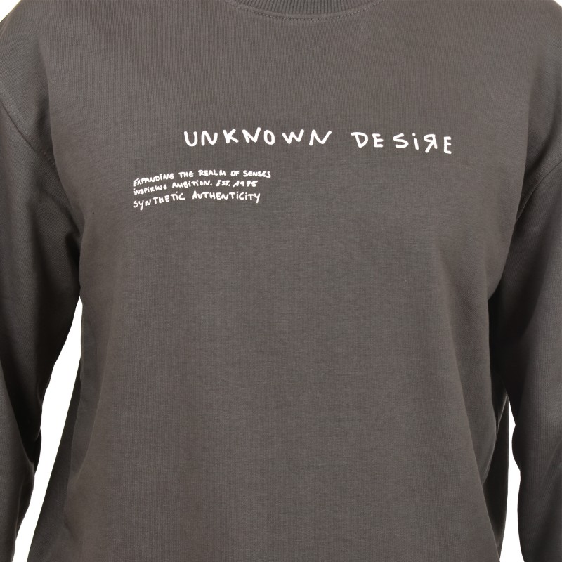 Brokers Unknown Desire Logo Sweatshirt In Loose Fit-Gargoyle
