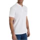 Navy & Green Polo Shirt Custom Fit-White
