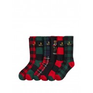 Polo Ralph Lauren Socks 6 Pack Polo Bear-Royal Red Multi