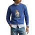 Polo Ralph Lauren Sweatshirt Bear-Blue