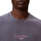 Calvin Klein T-Shirt Logo Graphic Relaxed-Anchor Navy