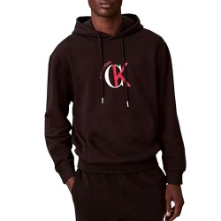 Calvin Klein Hoodie Terry 350 Graphic-Black