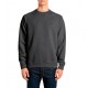 Replay Sweatshirt With Logo-Anthracite
