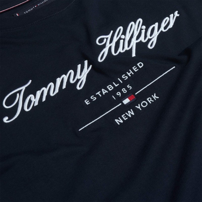 Tommy Hilfiger T-Shirt Script Logo-Desert Sky