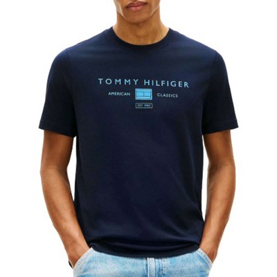 Tommy Hlilfiger T-Shirt Brand Love Monologo Stack-Desert Sky