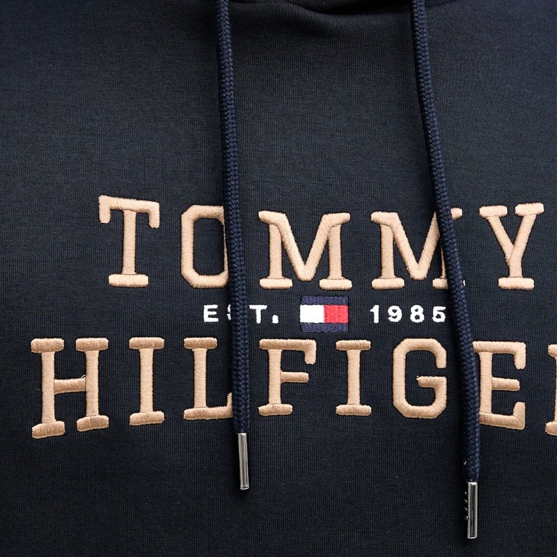 Tommy Hilfiger Hoody Icon Intechno-Desert Sky