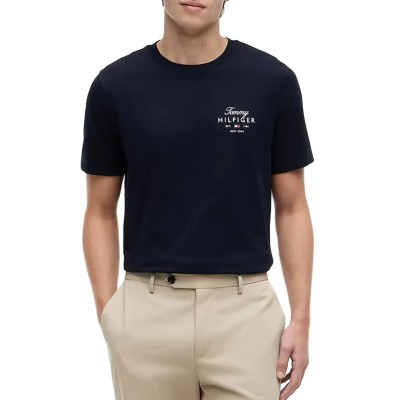 Tommy Hilfiger T-Shirt Regular Script Stack-Desert Sky