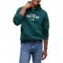 Tommy Hilfiger Hoodie Stack Reg Fleece-Ornamental Green